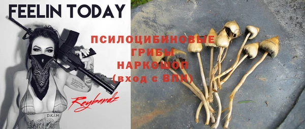 не бодяженный Алексин
