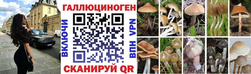 Псилоцибиновые грибы ЛСД  Лихославль 